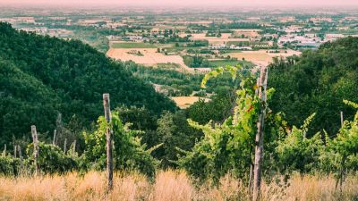 Colli Bolognesi / Landschaftsfoto © 123rf.com | 82039381